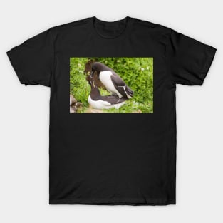 Mr & Mrs Razorbill sharing a private moment T-Shirt